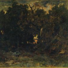 Théodore Rousseau; Marshlands; oil on wood panel; 15.9 x 24.6 cm; The Cleveland Museum of Art