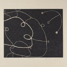 Martin Puryear; Fern, from the Cane portfolio; 2000; woodcut on handmade Japanese paper; 43.0 x 52.2 cm; Princeton University Art Museum