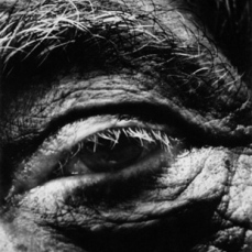 Alberto Giacometti's Eye, 1963
