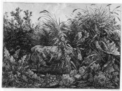 Carl Wilhelm Kolbe, The Cow in the Swamp, 1803