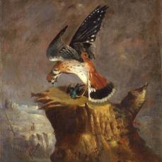 1Robert S. Duncanson, Vulture and Its Prey, oil on canvas, 27 1/8 x 22 1/4 in.